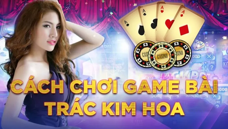 Trác Kim Hoa k8 cc